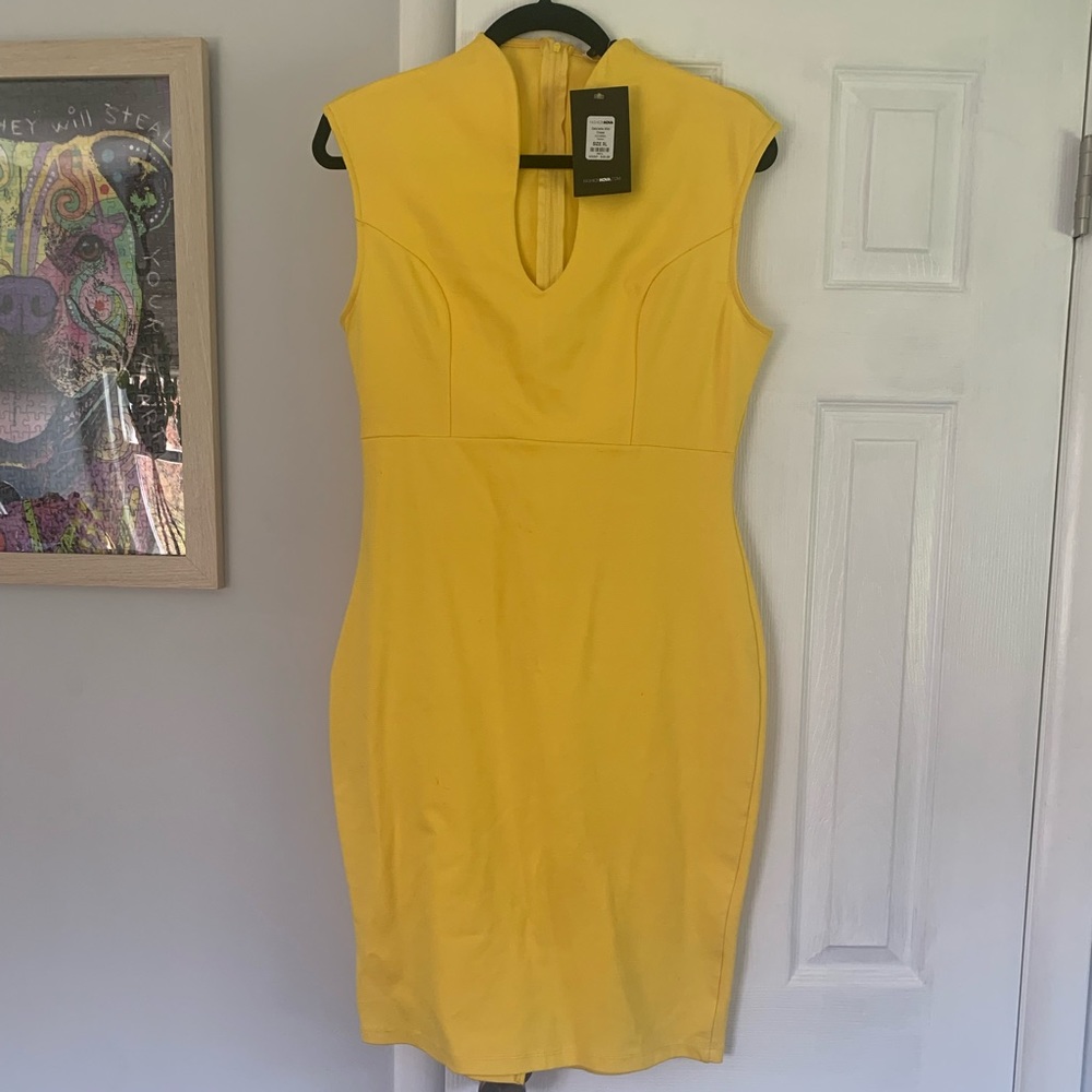 Fashion Nova Dress